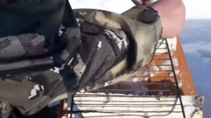 Окунь горячего копчения.