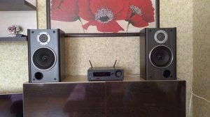 Onkyo R-N855 vs Sony SS-VF1