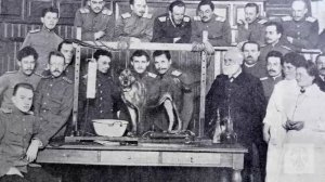 Фильм «Пептиды Хавинсона» Часть 1