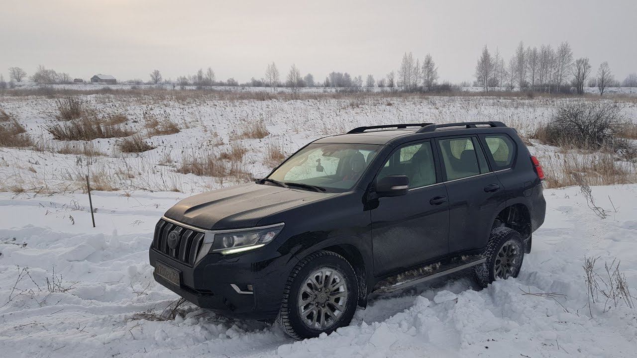 Лиса рулит Тойота ленд Крузер 200