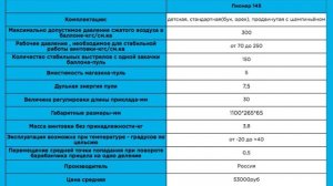 Обзор винтовки «Пионер 145»