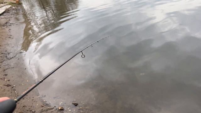 Бюджетный мормо-комплект. Смысл есть!