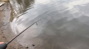 Бюджетный мормо-комплект. Смысл есть!
