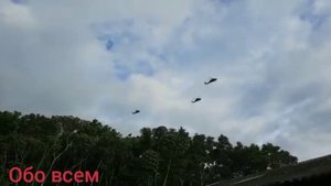 В Колумбии провели масштабную спецоперацию по задержанию наркобарона из группировки «Дель Гольфо».