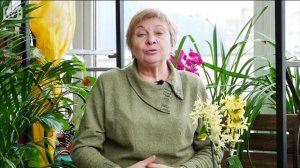 Домашнее цветоводство ? Лучшие растения для гостиной ? Выбираем комнатные растения с Хитсад