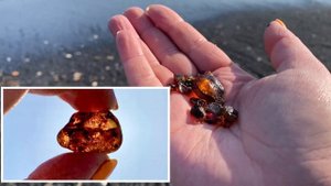 Морская рыбалка, о.Сахалин, Охотское море