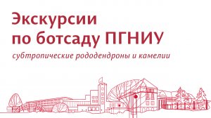 Экскурсии по Ботаническому саду ПГНИУ. Субтропические рододендроны и камелии