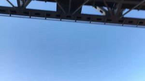 Прогулка по реке Бурея