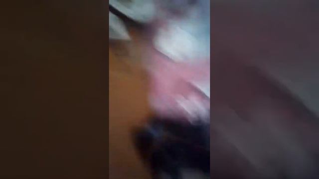 Чипсы против сухариков смотреть онлайн