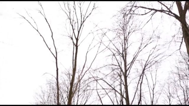 Видеоклип на стихотворение "Друзья, глядите в небо чаще..." смотреть онлайн