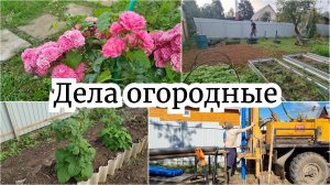 VLOG: КОПАЕМ ЯМУ. ГРЯДКА ДЛЯ МАЛИНЫ. СКВАЖИНА.