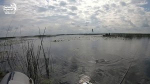 VLOG: Идеальный клёв. Крупный карась. Лука. Куршский залив. Август 2019