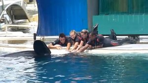 Marineland Antibes I