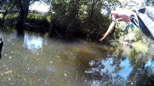 Гид Ванька и Голавли. смотреть онлайн