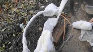 Как укрыть виноград на зиму-бюджетный вариант.