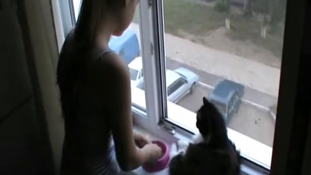 Что я делала когда тебя не было смотреть онлайн