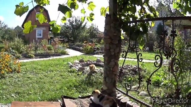 Перекур на даче или как хорошо даже осенью. Vlog.Брест