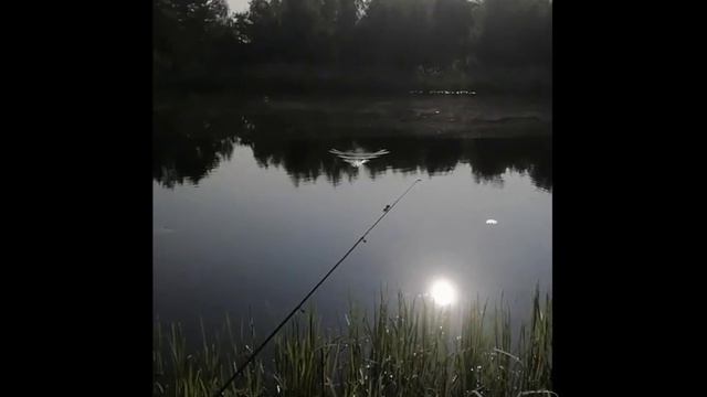 Рыбалка в Заречке на Днепро-Бугском канале