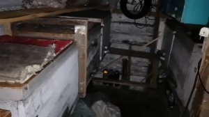 Зимовка пчел в омшанике. Январь, Новосибирская область.