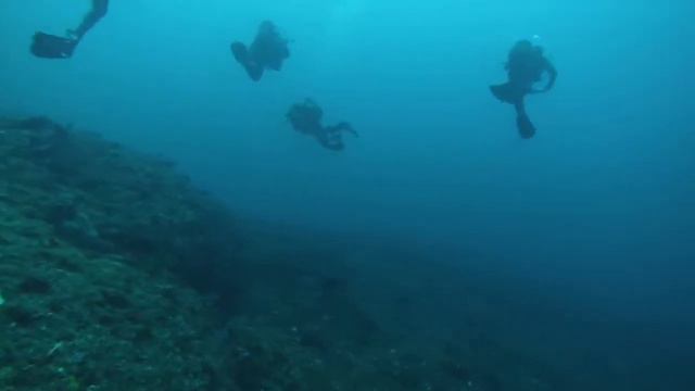 Protea Banks South Africa 2015 смотреть онлайн