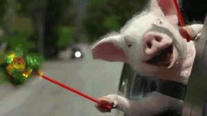 отправь своему другу которого ненавидешь