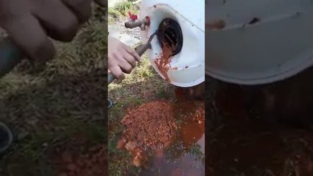 Чистим водонагреватель Термекс мы в шоке смотреть онлайн