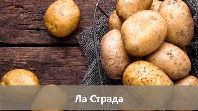 Открываем предварительный сбор заказов на семенной картофель, на весну-2022 смотреть онлайн