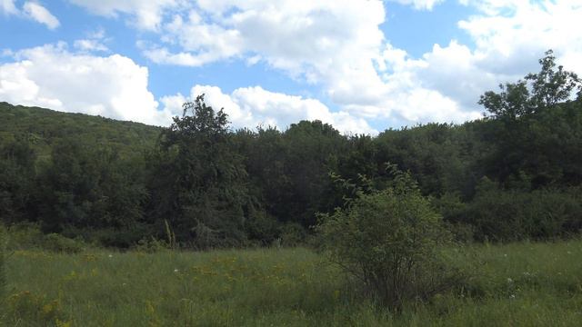 кок-асан смотреть онлайн