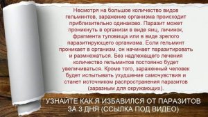 Как заражаются глистами?