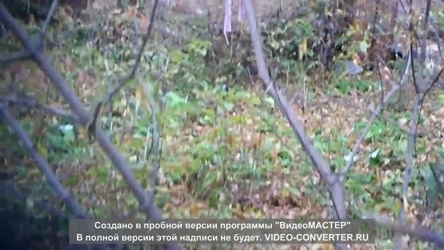 Бомжи в Уфе. Шакша. 5avi смотреть онлайн