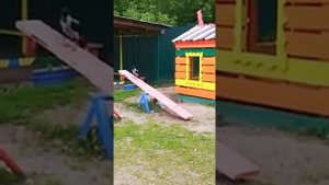 Ворона катается на качелях !!!!!!