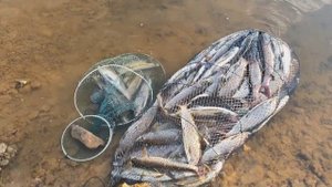 Магадан рыбалка осень 2020