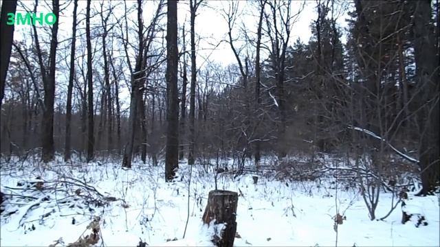 Большой ТЕСТ и ОБЗОР, Спасательных накидок, Грелок для тела, Безпламенного разогревателя, Таганков