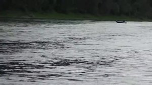 Лодка ПВХ НДНД ФЛАГМАН 380. ПЛМ Mercury 15M. Покатушки по Уфе после обкатки мотора.