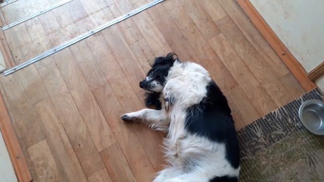 Дар устал ... смотреть онлайн