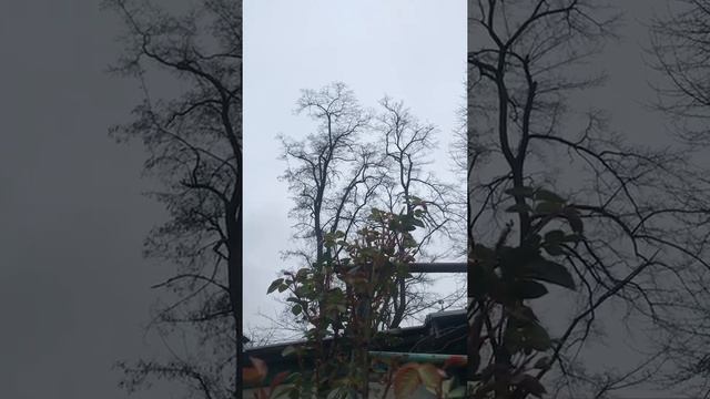 воздушная тревога беспилотник. воздушная тревога майкоп сейчас. воздушная тревога симферополь. памятка воздушная тревога. система оповещения города.