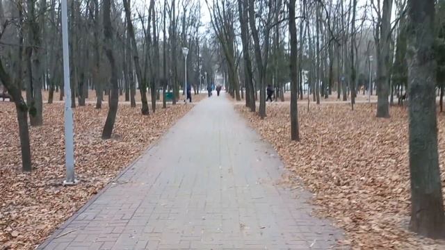 Выполнил 2 цели за день | Тест в зале смотреть онлайн