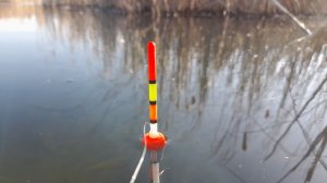 РУКА ОТСОХЛА от ТАКИХ КАРАСЕЙ! Рыбалка на  УТРЕНЕЙ ЗОРЬКЕ. ЛОВЛЯ КАРАСЯ.