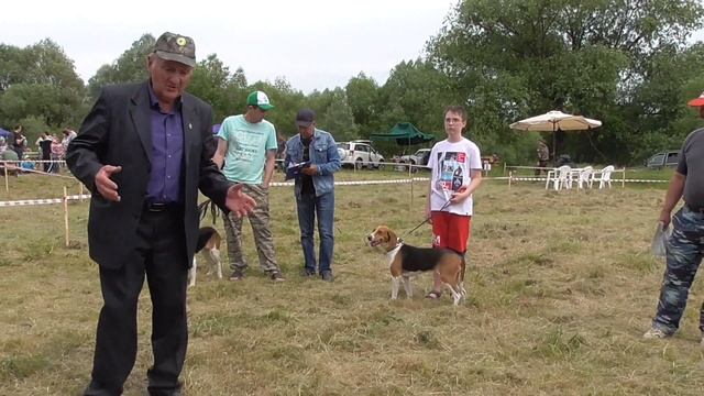 27.05.2023г. Воронежская 69 выставка охотничьих собак. смотреть онлайн