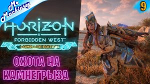 Вперёд за приключениями ➤ Horizon Forbidden West #9