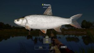 Русская рыбалка 4(рр4/rf4) - река Ахтуба. Жерех и судак на живца.