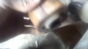 Chrysler voyager 3. Меняем сайлентблоки рессор