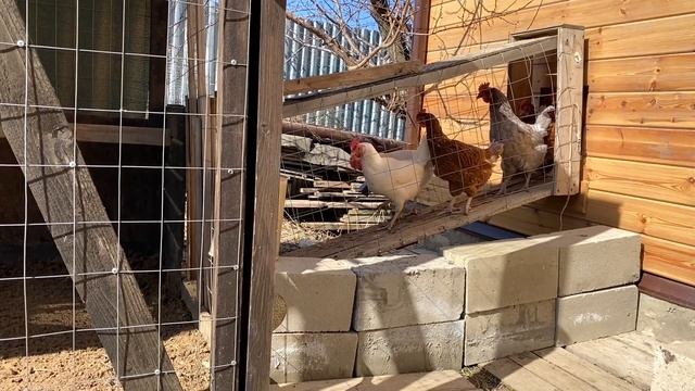 девочки у ПАПЫ открыли сезон а у него НЕПРИЯТНОСТЬ смотреть онлайн