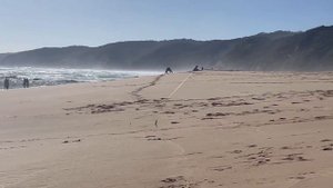 Рыбалка Surf fishing на берегу океана в Австралии на океанического лосося