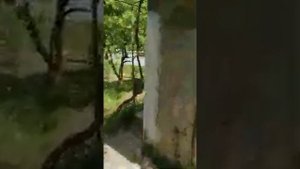 Продаю дачу снт Пищевик