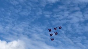 Стрижи 18.08.2024 в Чебоксарах