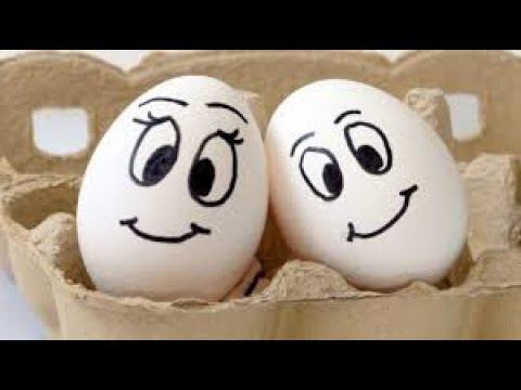5 Рецептов Завтраков из ЯИЦ, Любимые Рецепты Моей семьи! Best scrambled eggs for breakfast