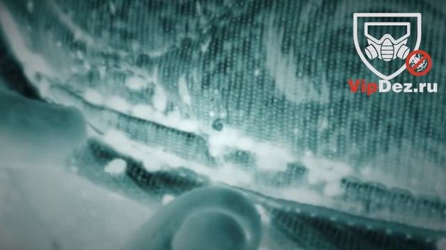 Постельные клопы под ультрафиолетовым светом