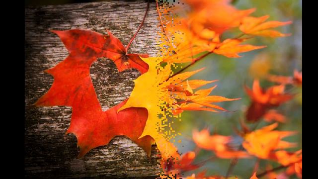 Листья группа Лицей смотреть онлайн