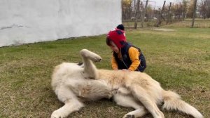 Образ  жизни сельских женщин  Азербайджанская Кухня Деревенская Кухня  Рецепты